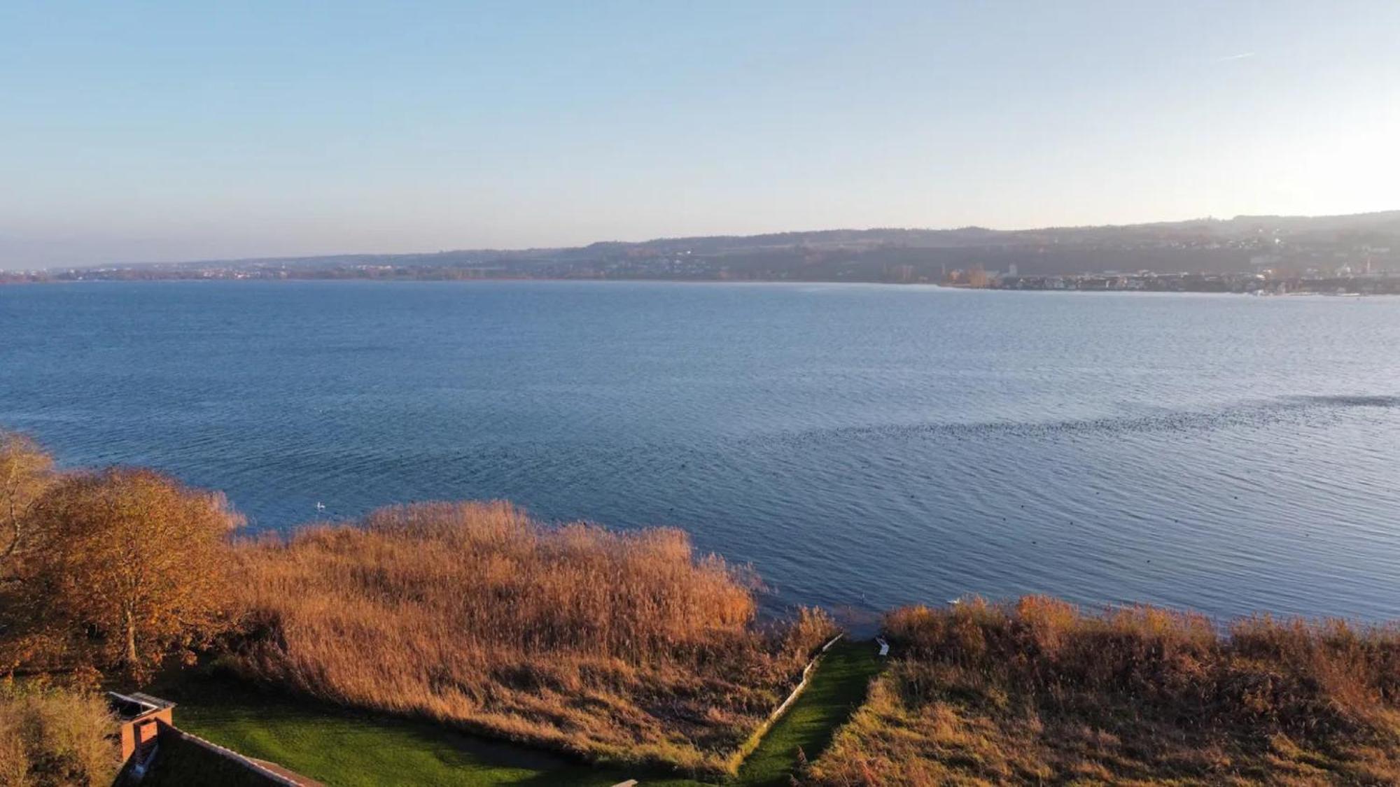 Seeluft Direkt Am Wasser Reichenau Eksteriør billede