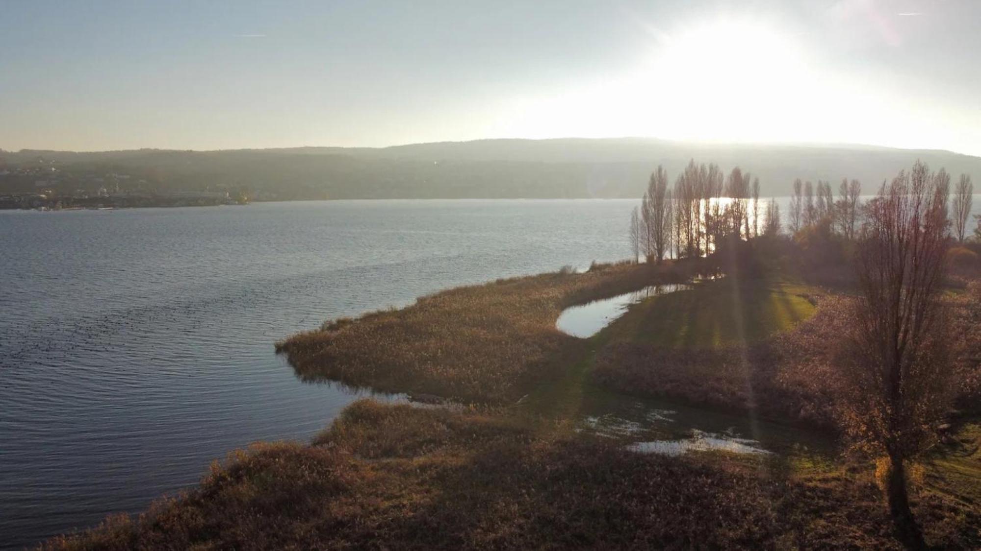 Seeluft Direkt Am Wasser Reichenau Eksteriør billede