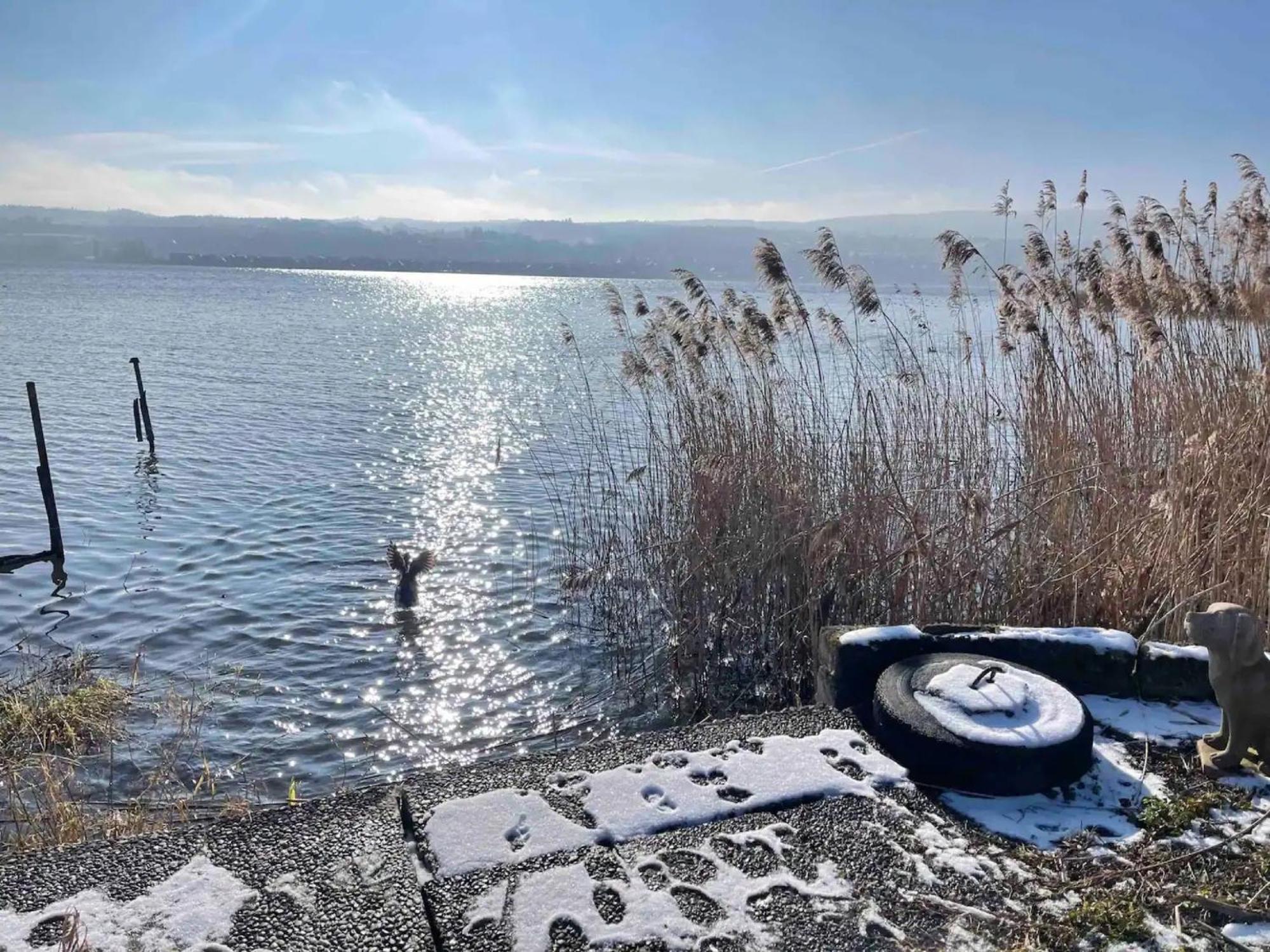 Seeluft Direkt Am Wasser Reichenau Eksteriør billede